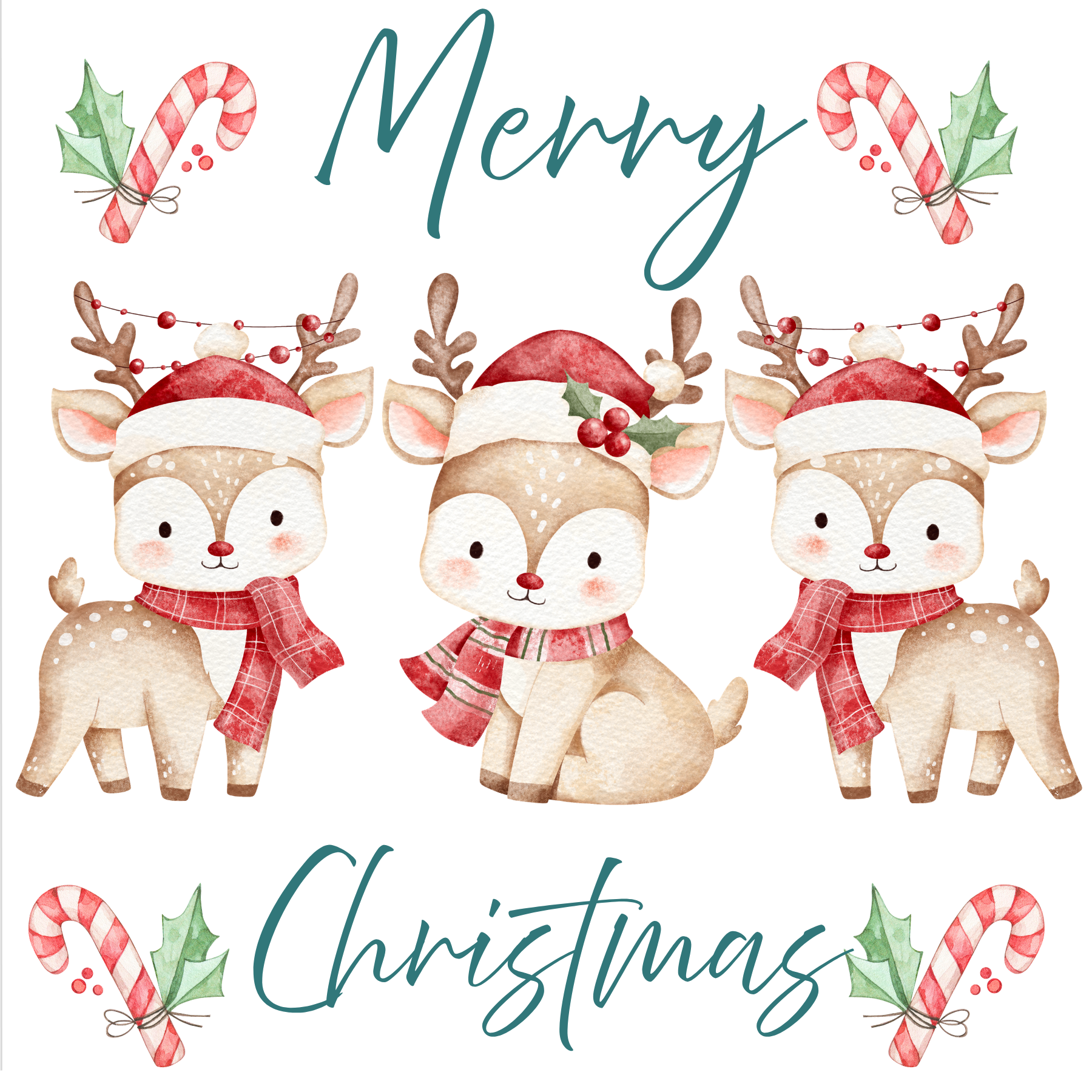 Cute Reindeer