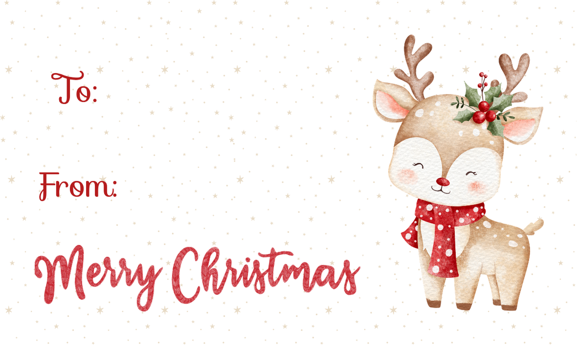 Christmas Gift Tags - Set of 6
