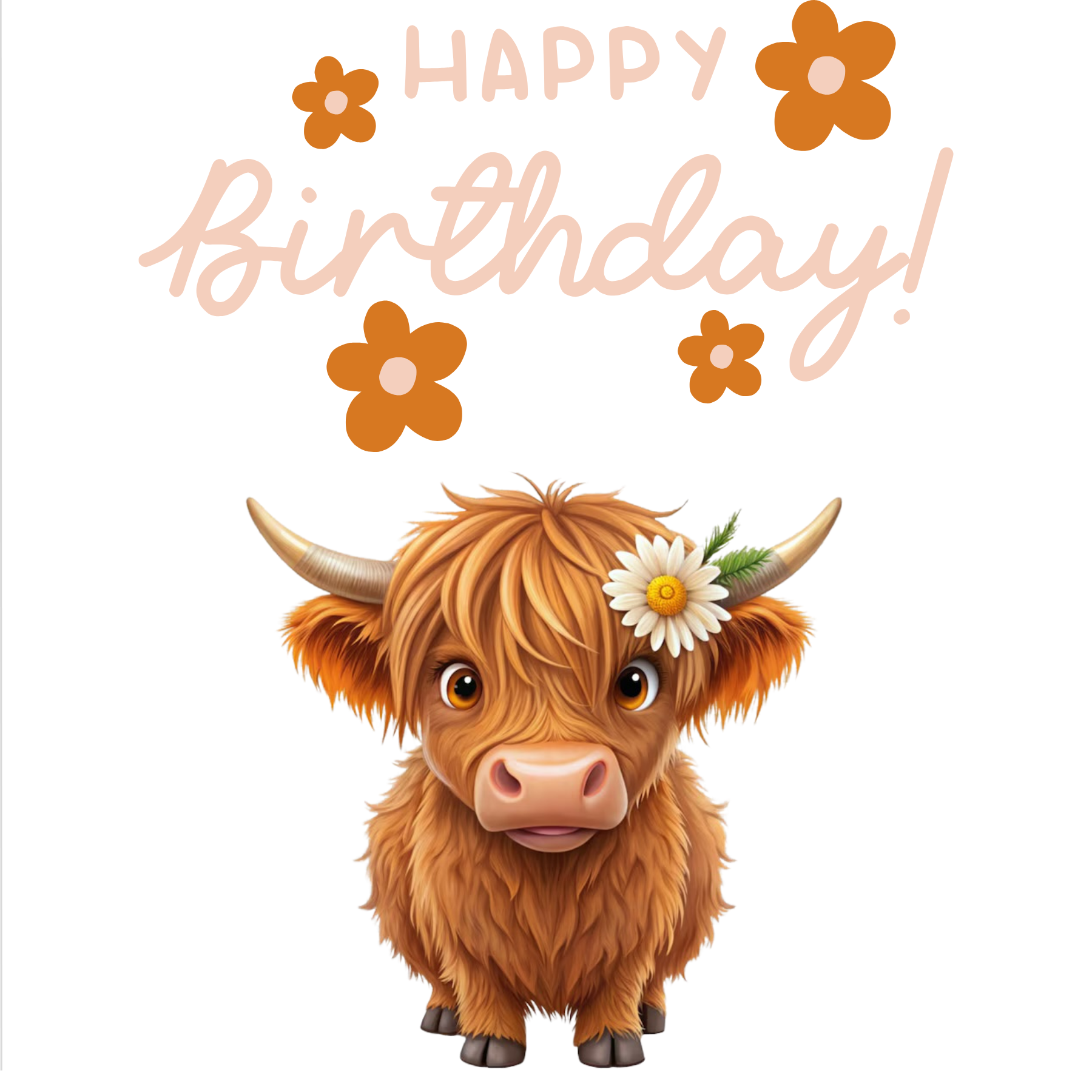 Cute Highland Cow